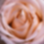 333E3E7F-CF3B-49B0-A38D-EE3FDCDBB1B8.png