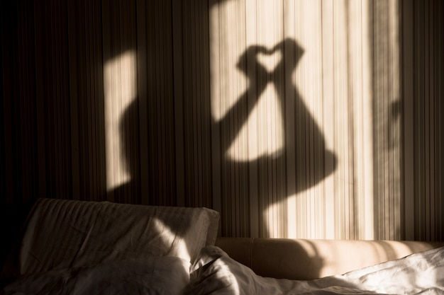 Shadow Play